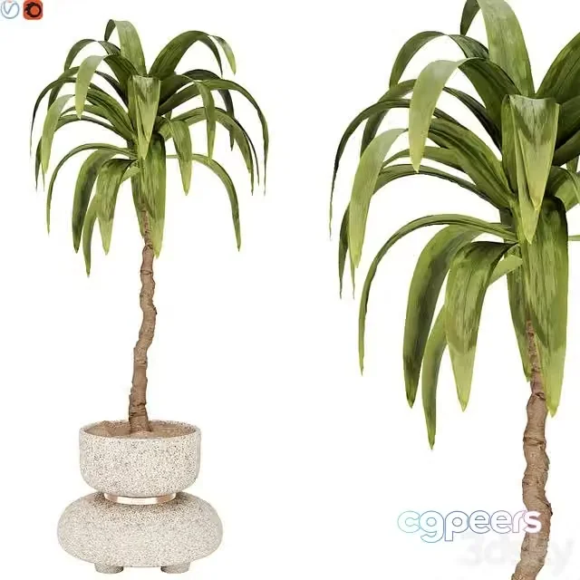 3ds Max Free – indoor plant 38