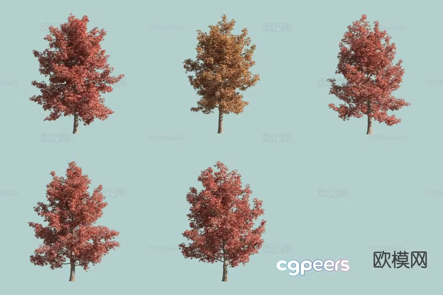 North American maple tree landscape tree autumn leaf tree yellow leaf tree 3d model