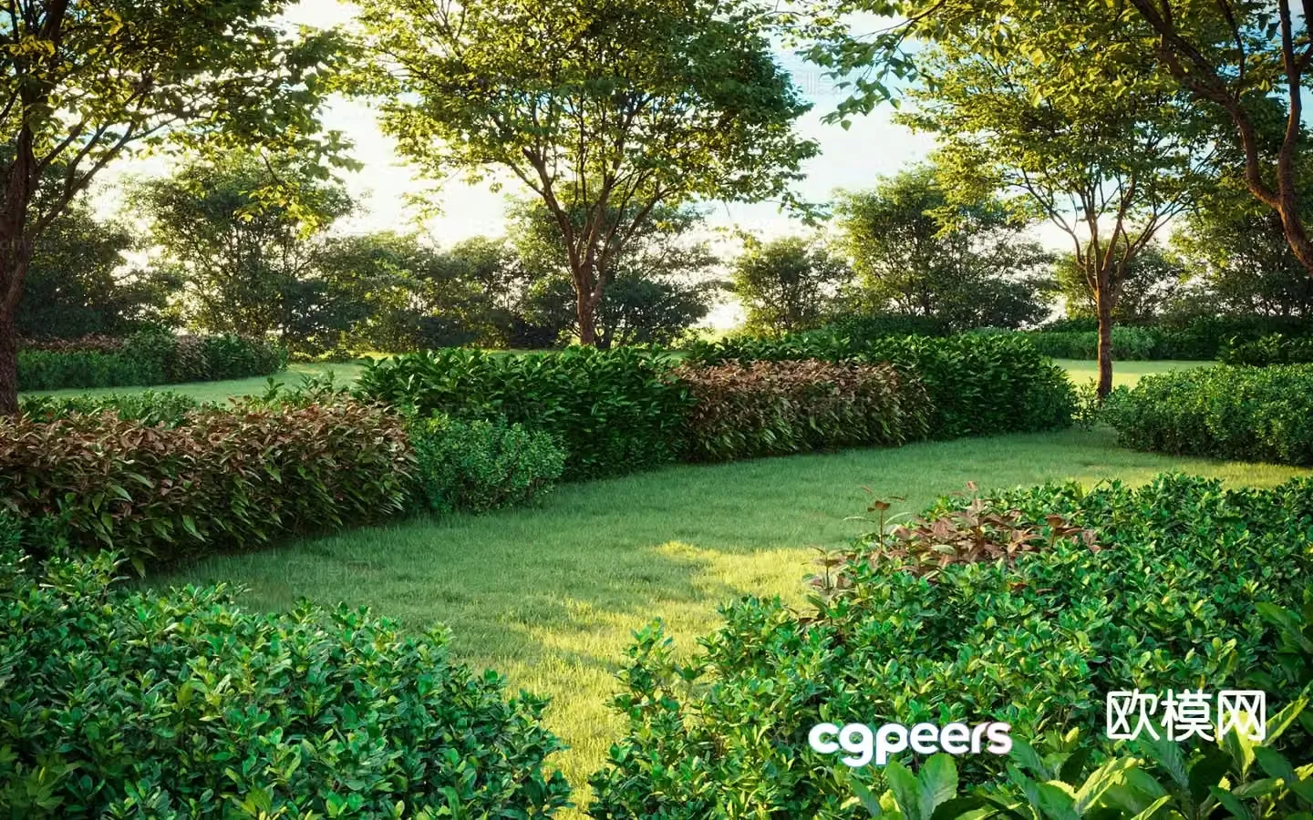 Garden landscape hedge shrub lawn 3d model