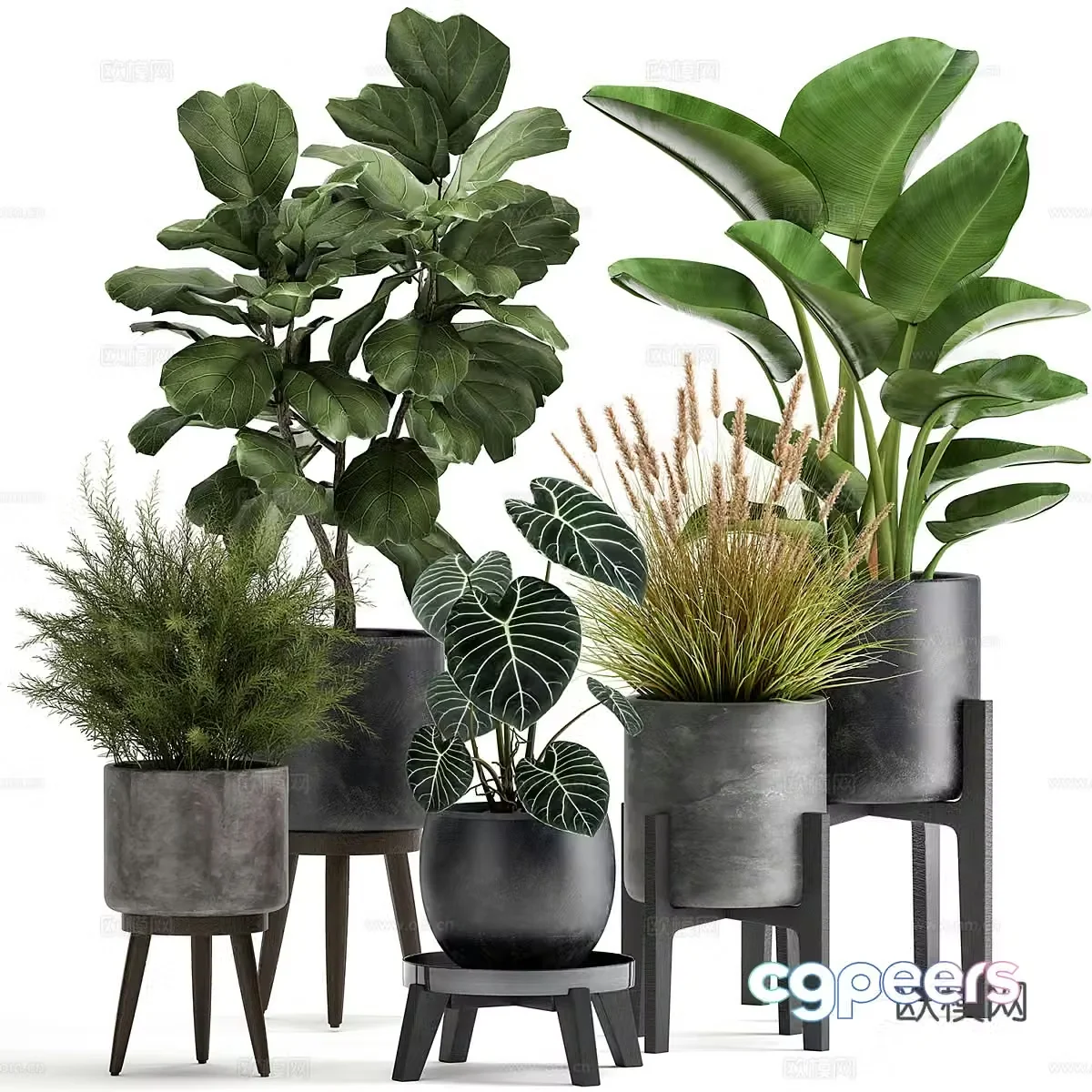 Plant potted 3D model