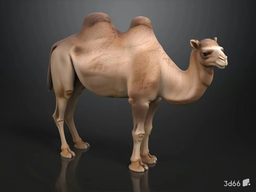 A Camel 3D Model – 19039 – VRAY Render