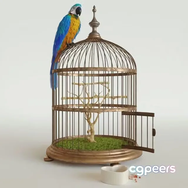 3ds Max Free – Parrot Ara