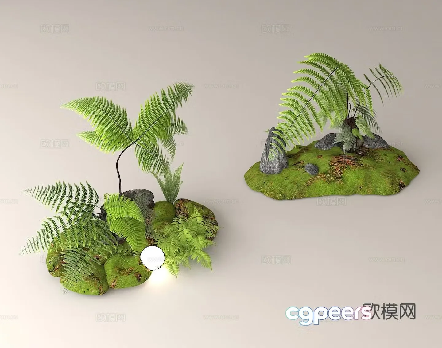 Fern plant landscape microlandscape design green plant decoration moss landscape ecological landscaping 3D model