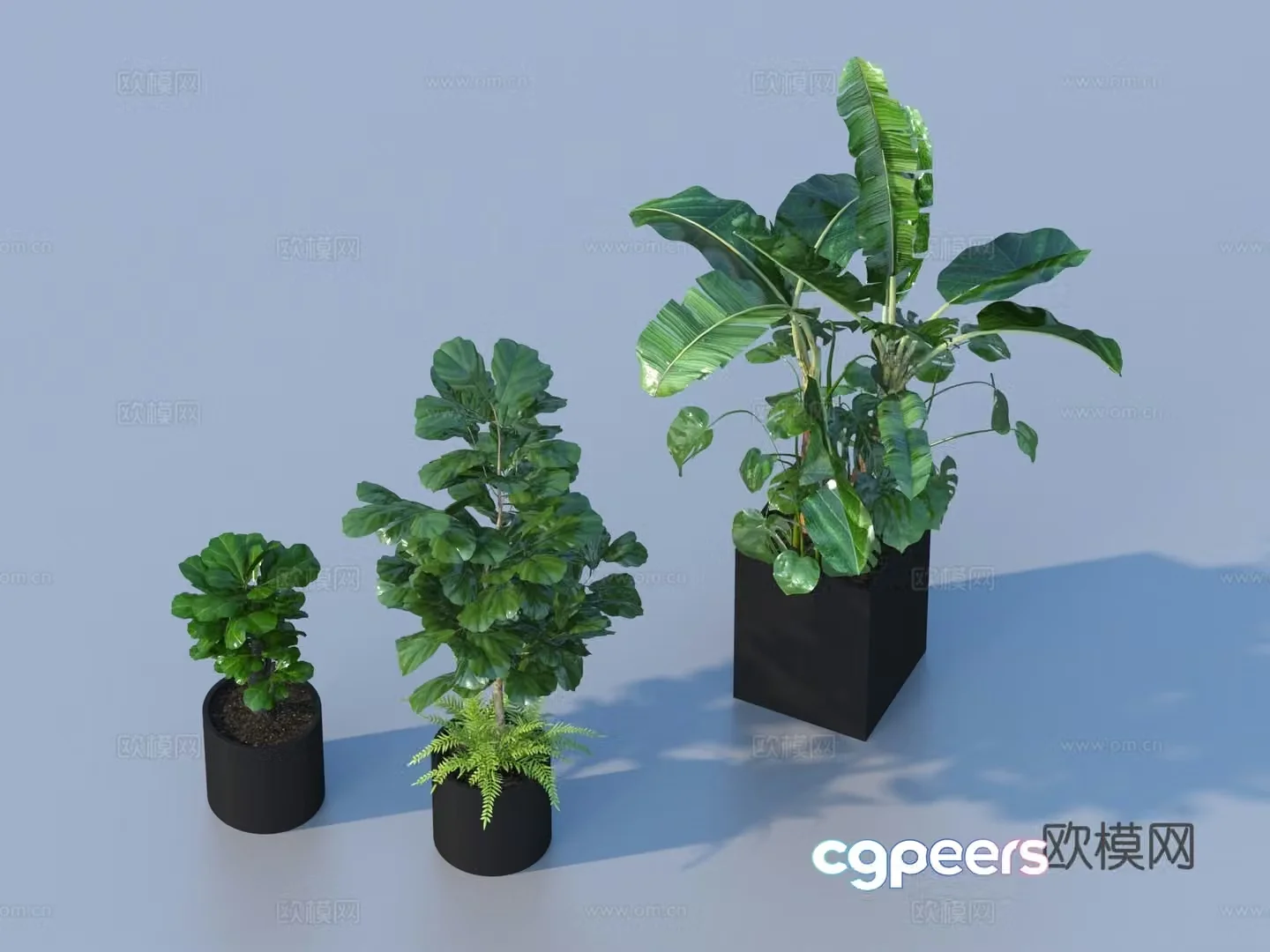 Flower pot pot green plants plant 3d model