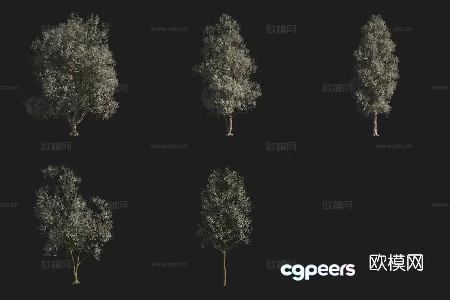 North American tree 3D model of dense flower stone oak tree