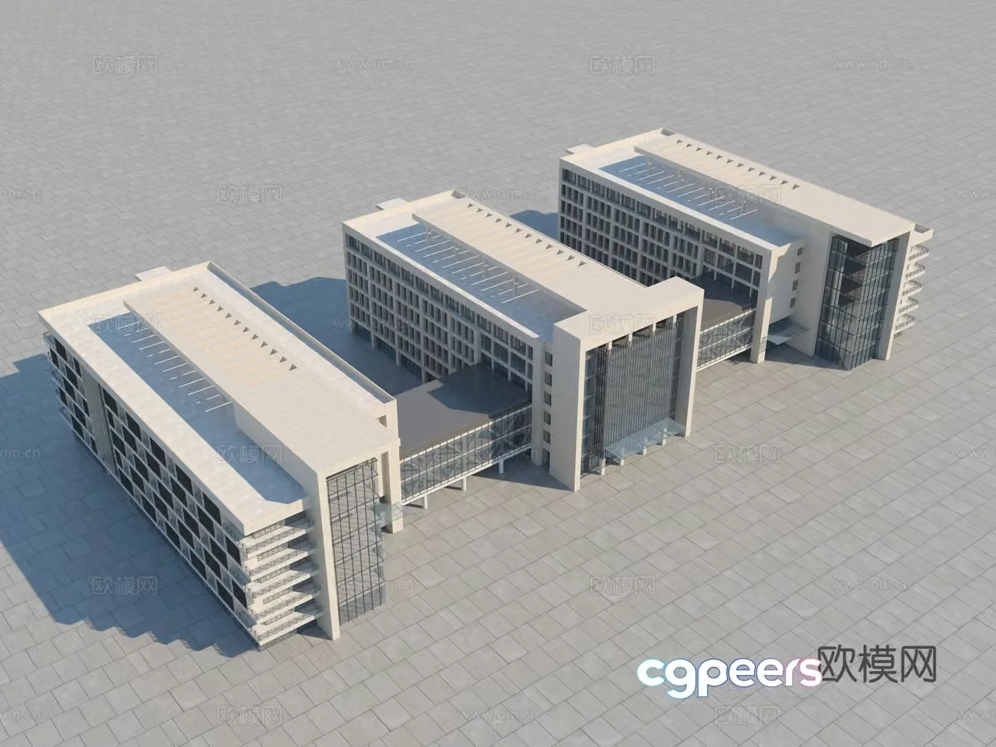 Modern school museum cultural center library single 3D model