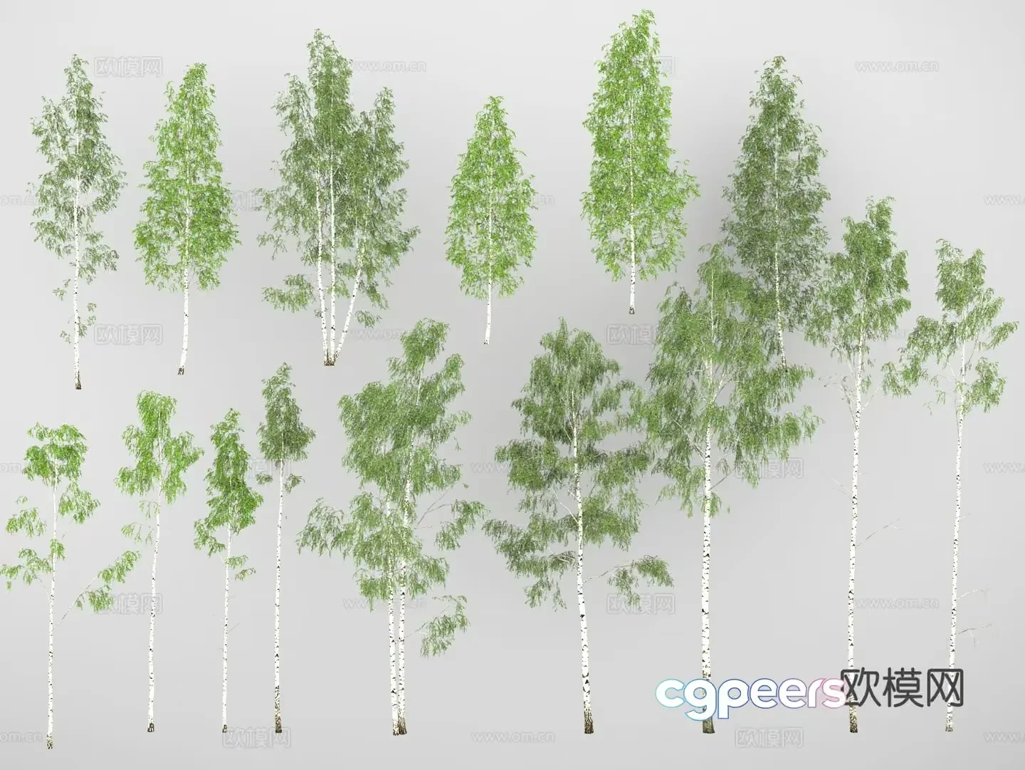 A Collection Of Trees 3D Model – 15701 – VRAY Render