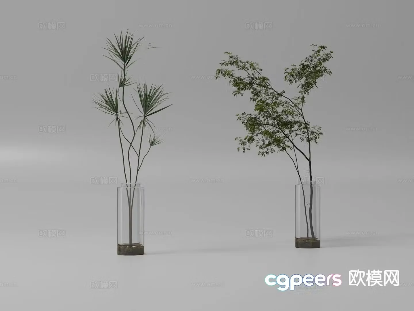 Green plant potted landscape green plant 3d model