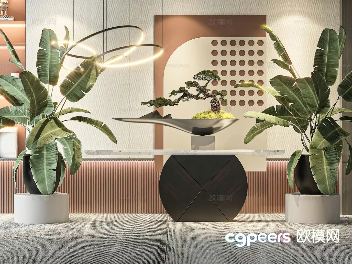 Plant potted 3d model
