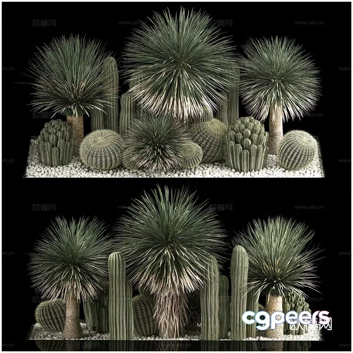 Cactus bonsai landscape 3d model