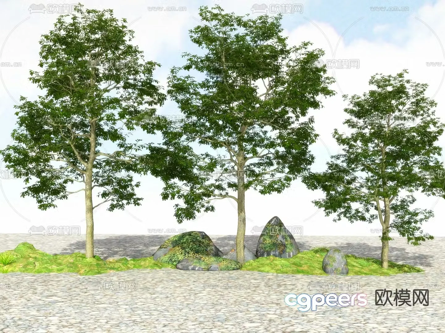 Landscape tree Street tree Big tree Tree Tree 3D model
