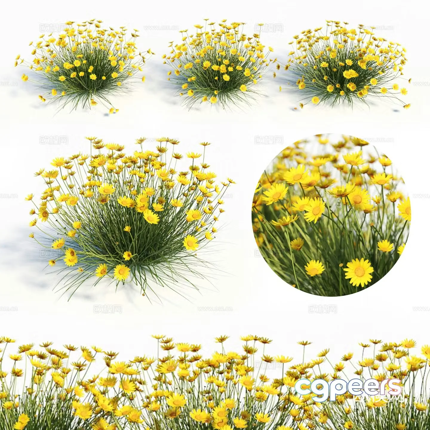 Yellow flowers and plants 3d model