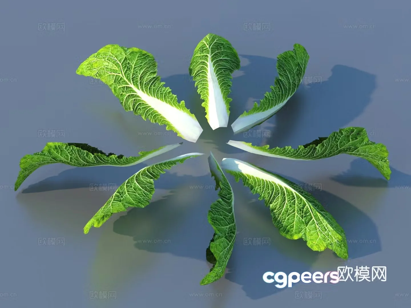 vegetables vegetable leaves cabbage leaves food 3d model