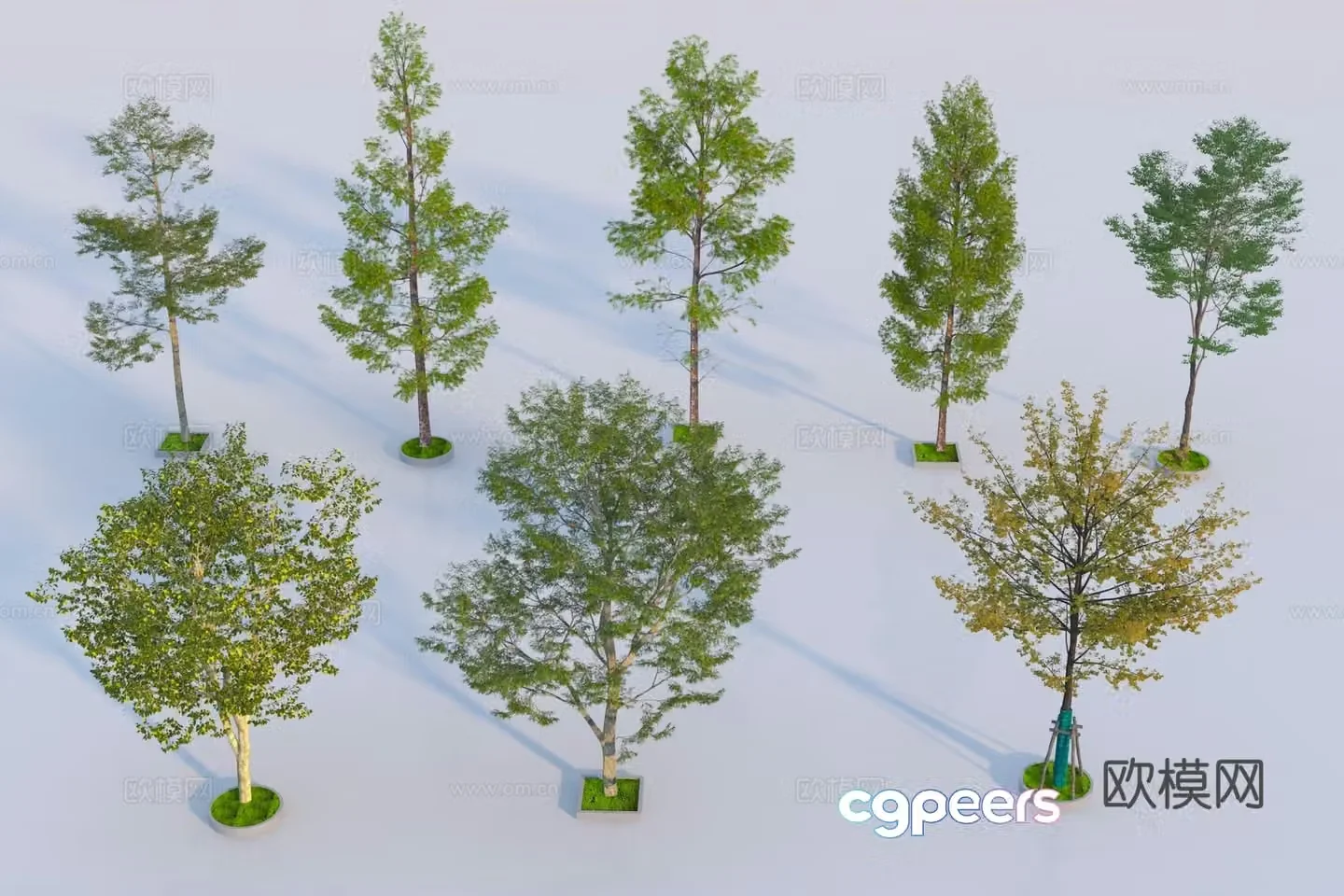 Modern landscape tree 3d model