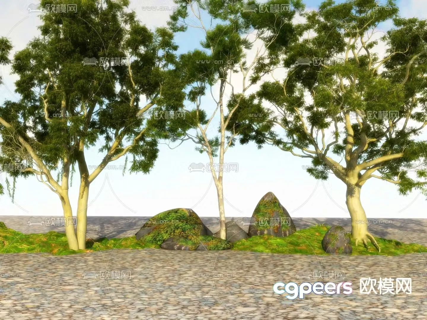 Big tree Landscape tree Street tree 3d model