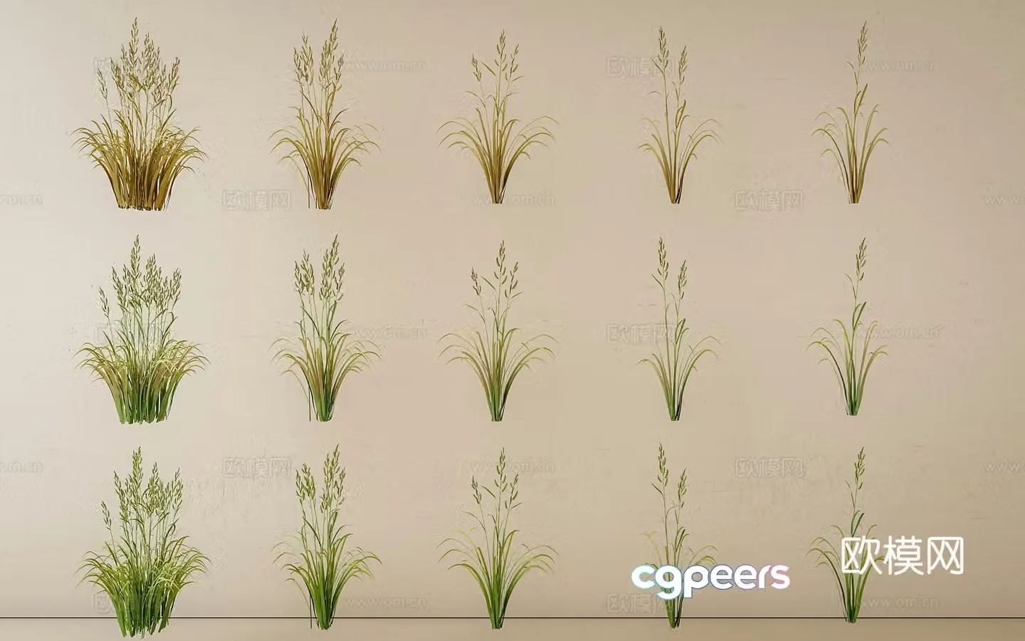 Center grass green grass flower and grass 3d model