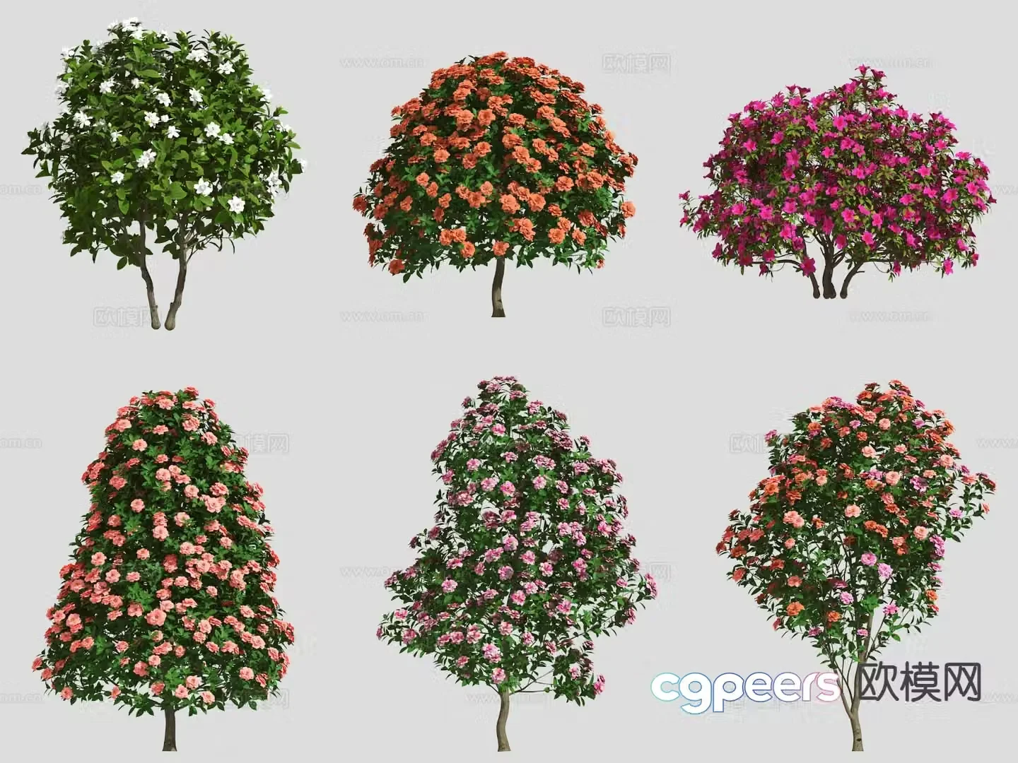 trees flower tree 3d model