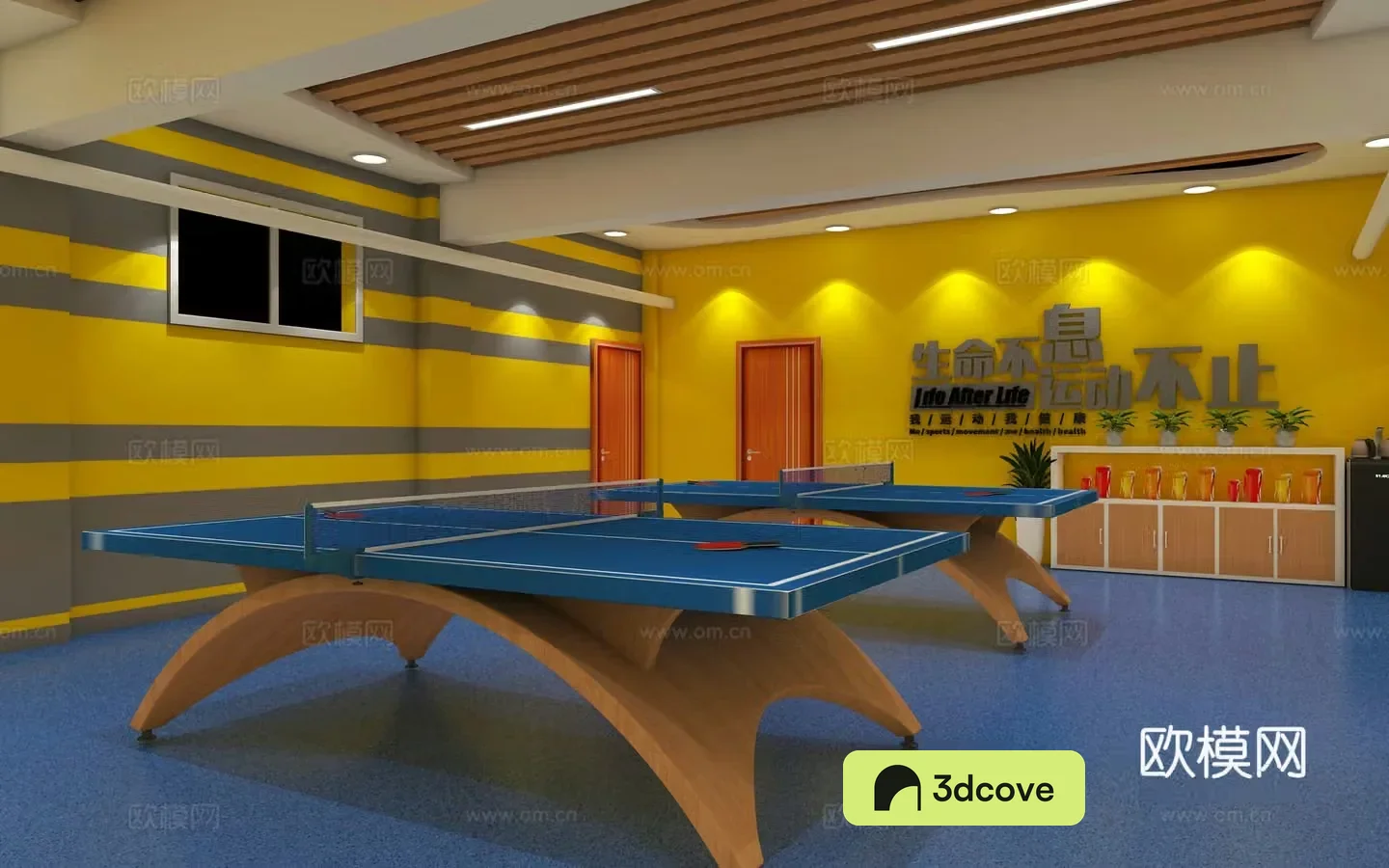 Modern table tennis room