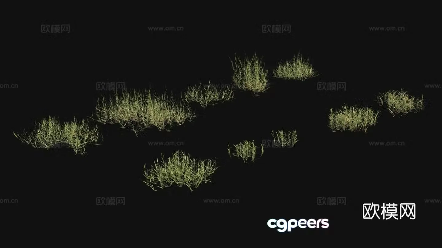 Flowers weeds weeds 3d model