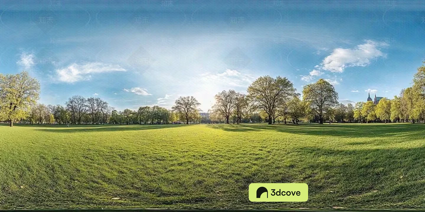 A Large Grassy Field