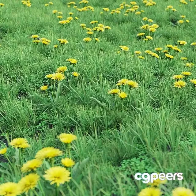3ds Max Free – Grass set 01 – Dandelion