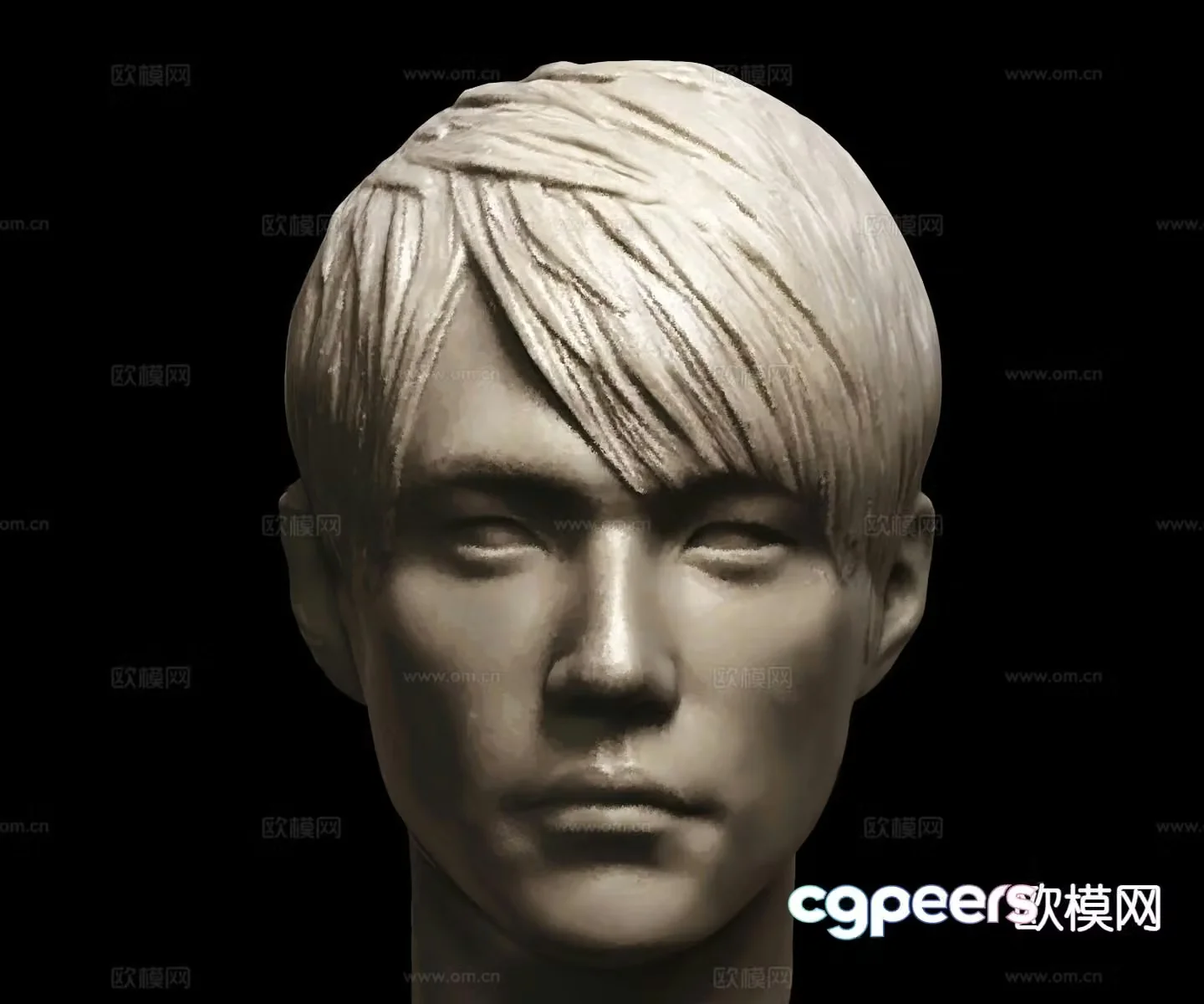 Star avatar Jay Chou head sculpture 3D model