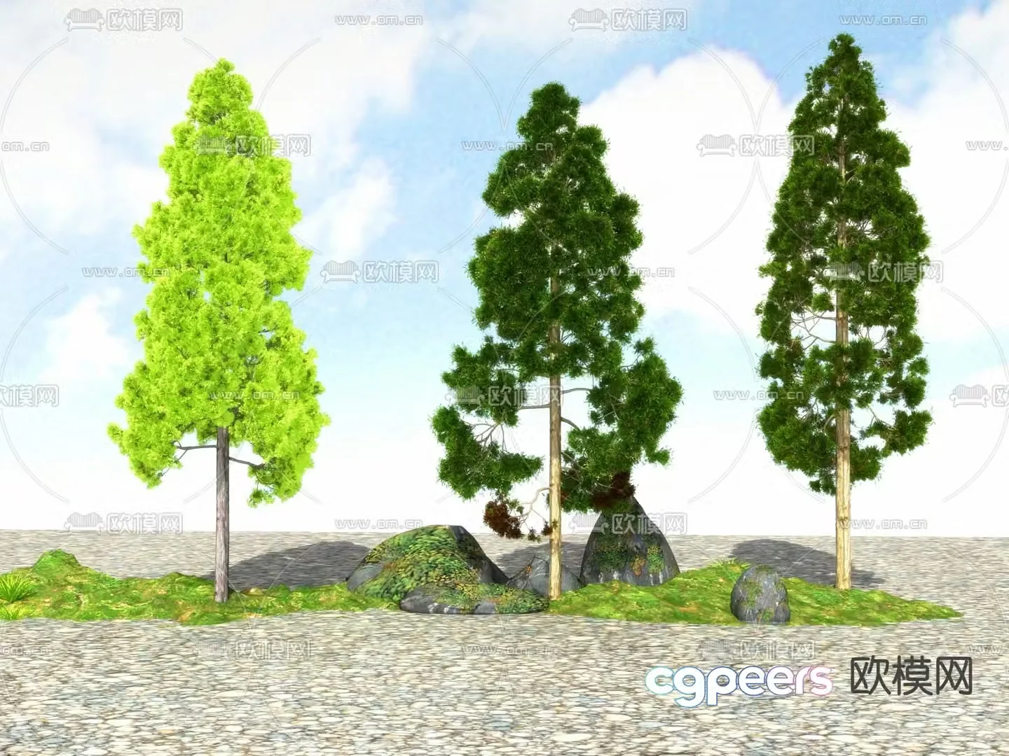 Landscape tree tree big tree 3d model