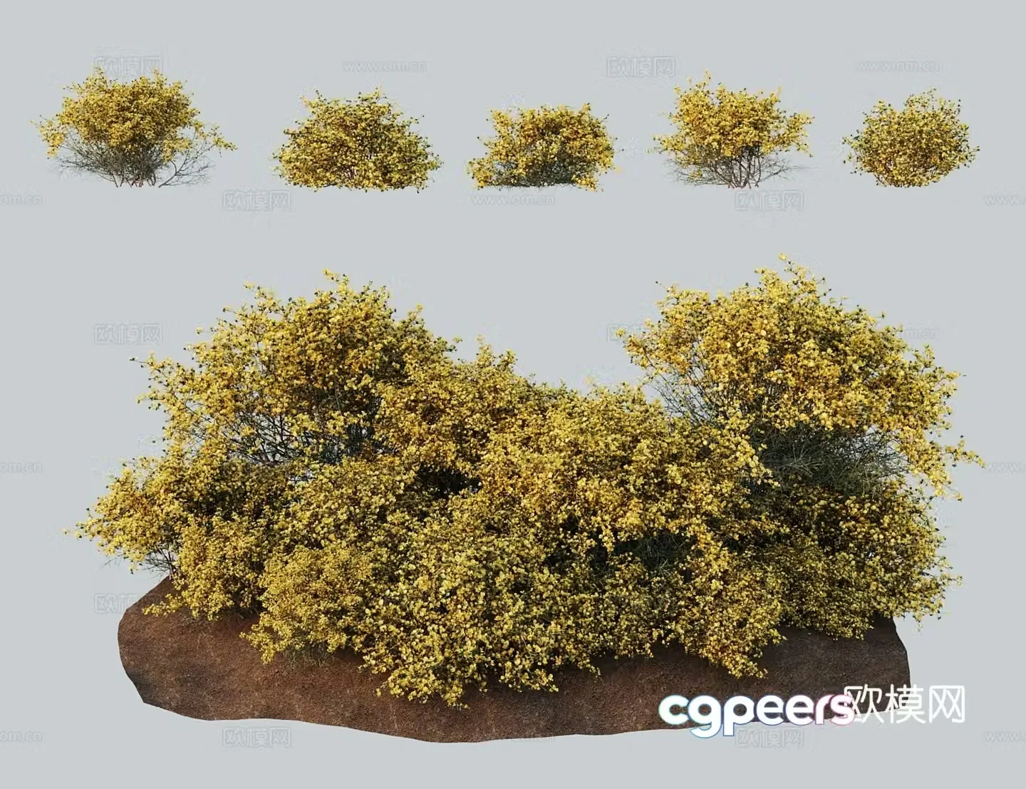 Modern landscape tree Scorpio dye wood gorse flower Grey isoflavin hibiscus flower Dye wood because of dye 3D model