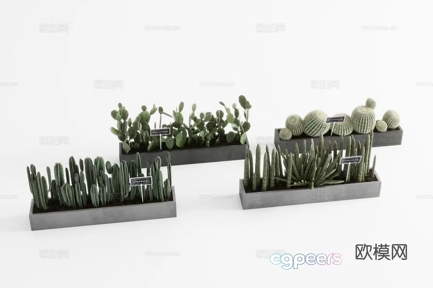 Plants Green Plant Wall Bamboo Landscape Tree 3D Model