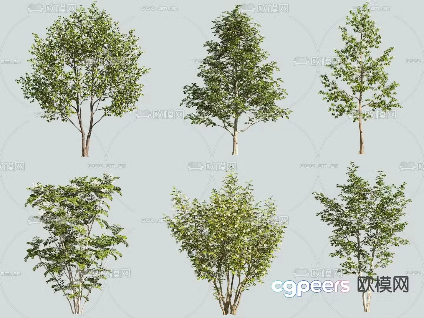 Big tree Landscape tree Street tree 3d model