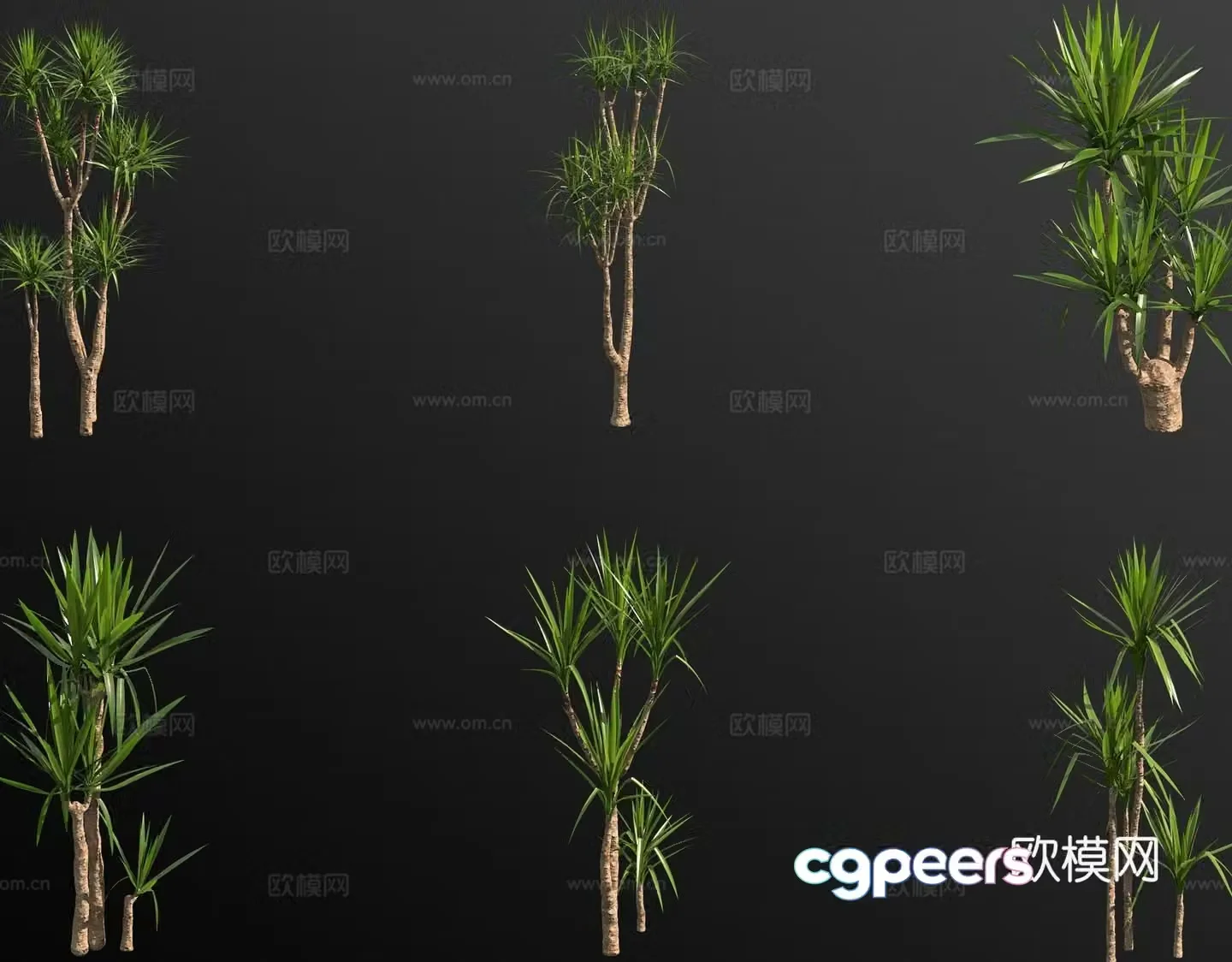 Dutch iron tree landscape tree small tree tree 3d model