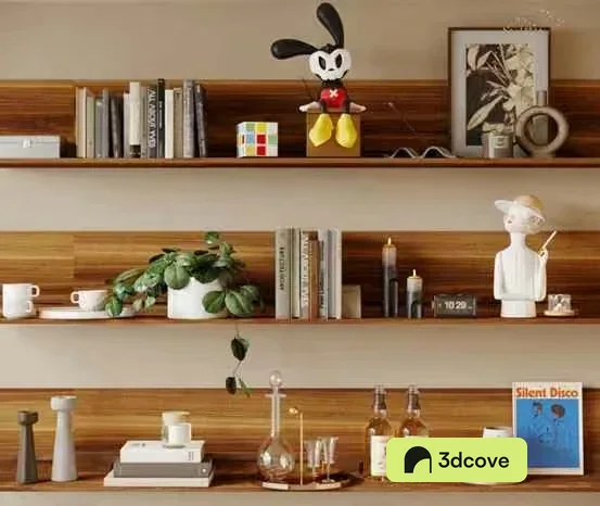 Modern Wooden Shelves