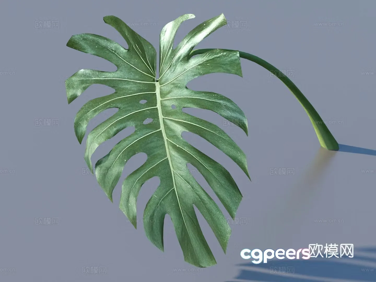 Vegetables and leaves leaves leaves 3D model