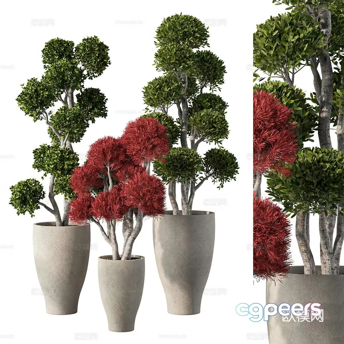 New Chinese style wabi sabi pot plant 3D model