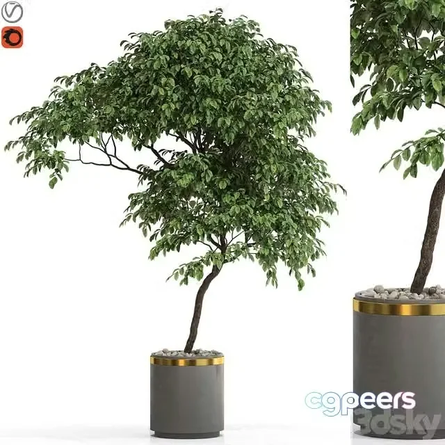 3ds Max Free – Plants collection 700