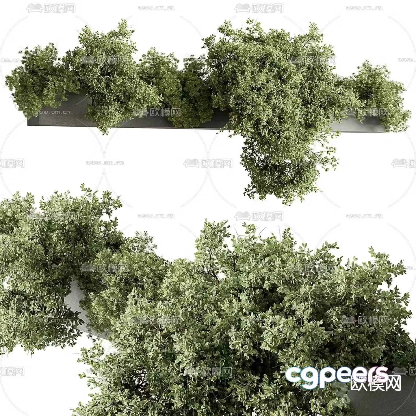 Flower bed flower box tree pond 3d model