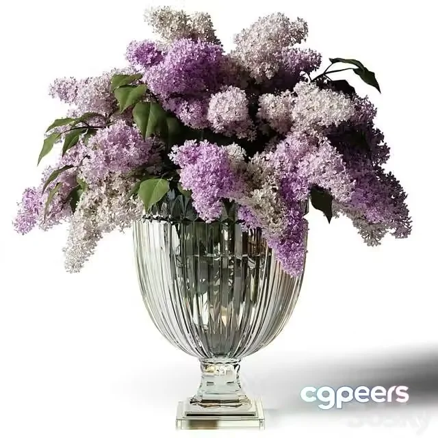 3ds Max Free – Bouquet of lilacs in a glass vase