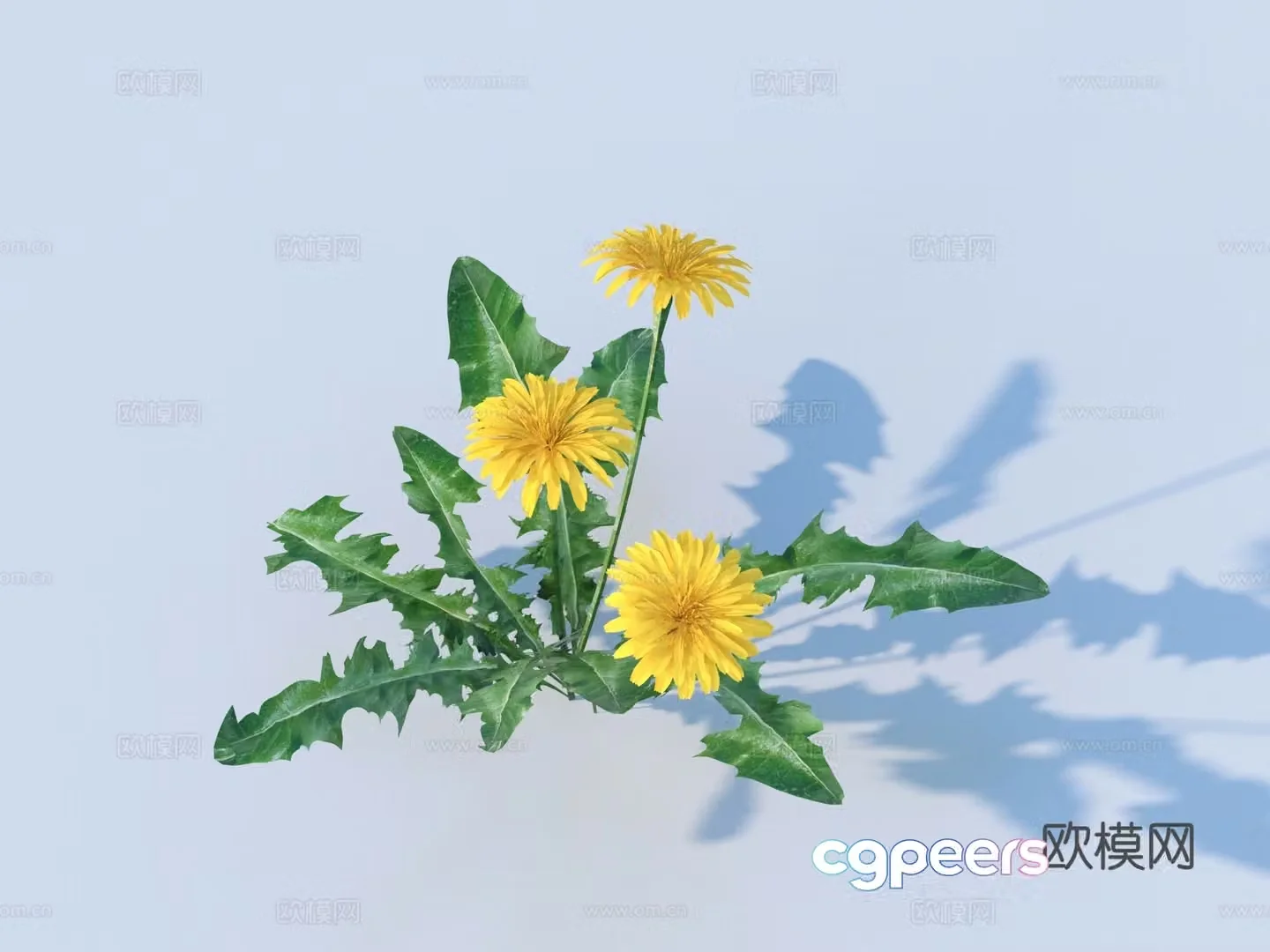 Flowers Wild Flowers Green Plants Flowers 3D Model