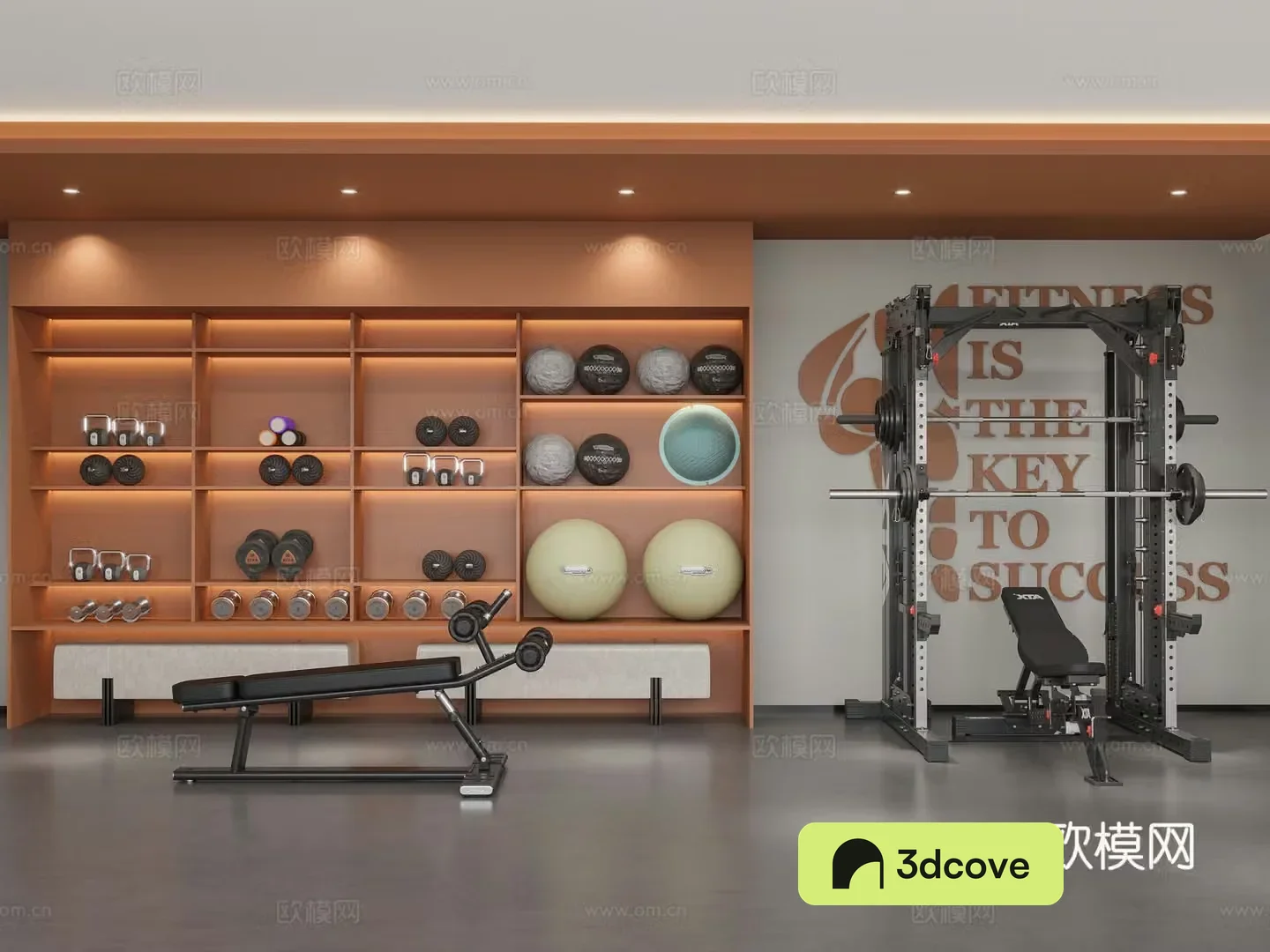 Modern gym
