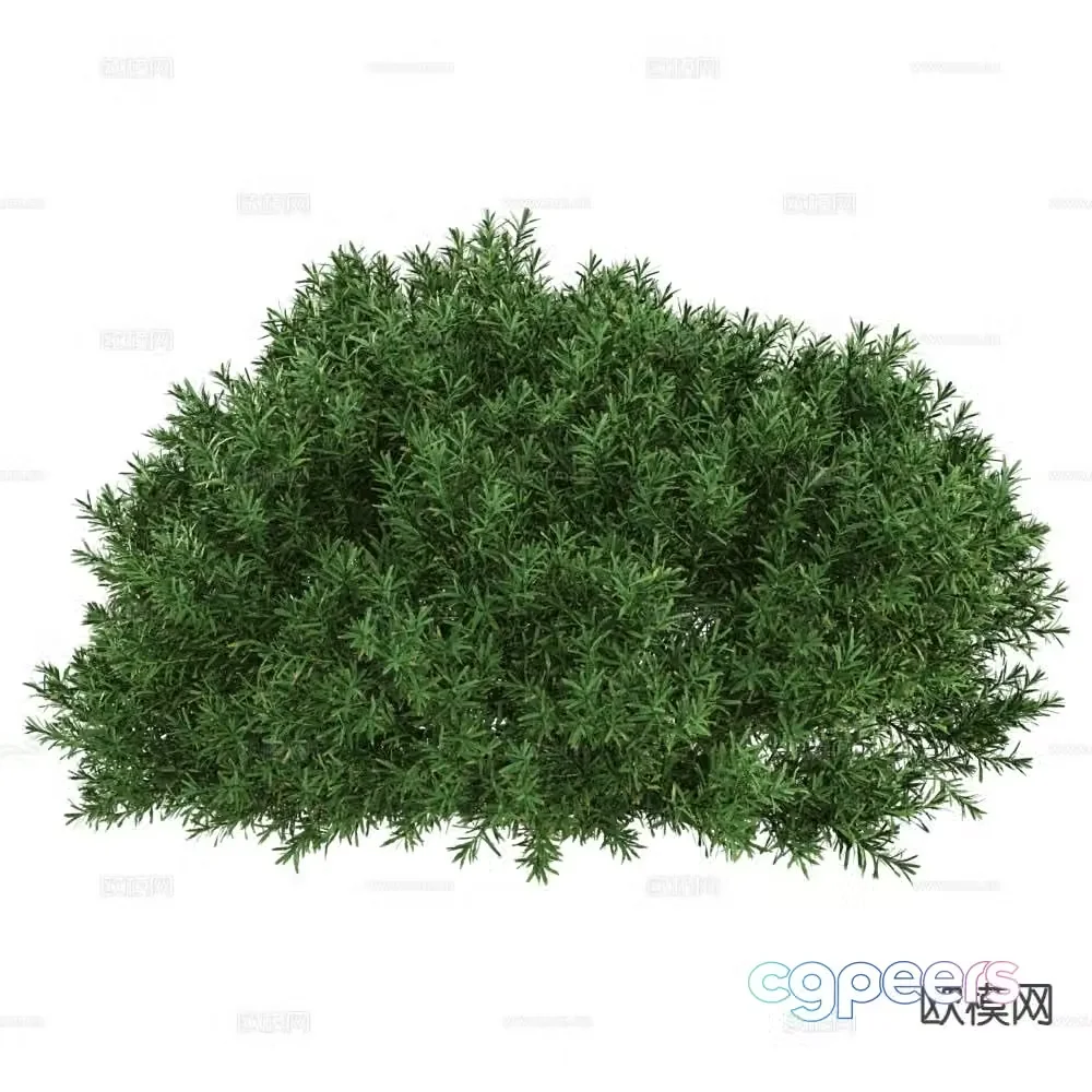 Modern Plants Shrub 3d Model
