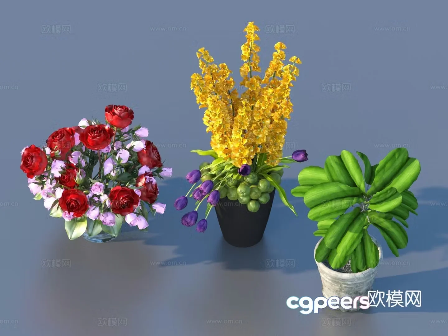 Flowers flower ornaments flower pots potted plants green plants plant 3d model