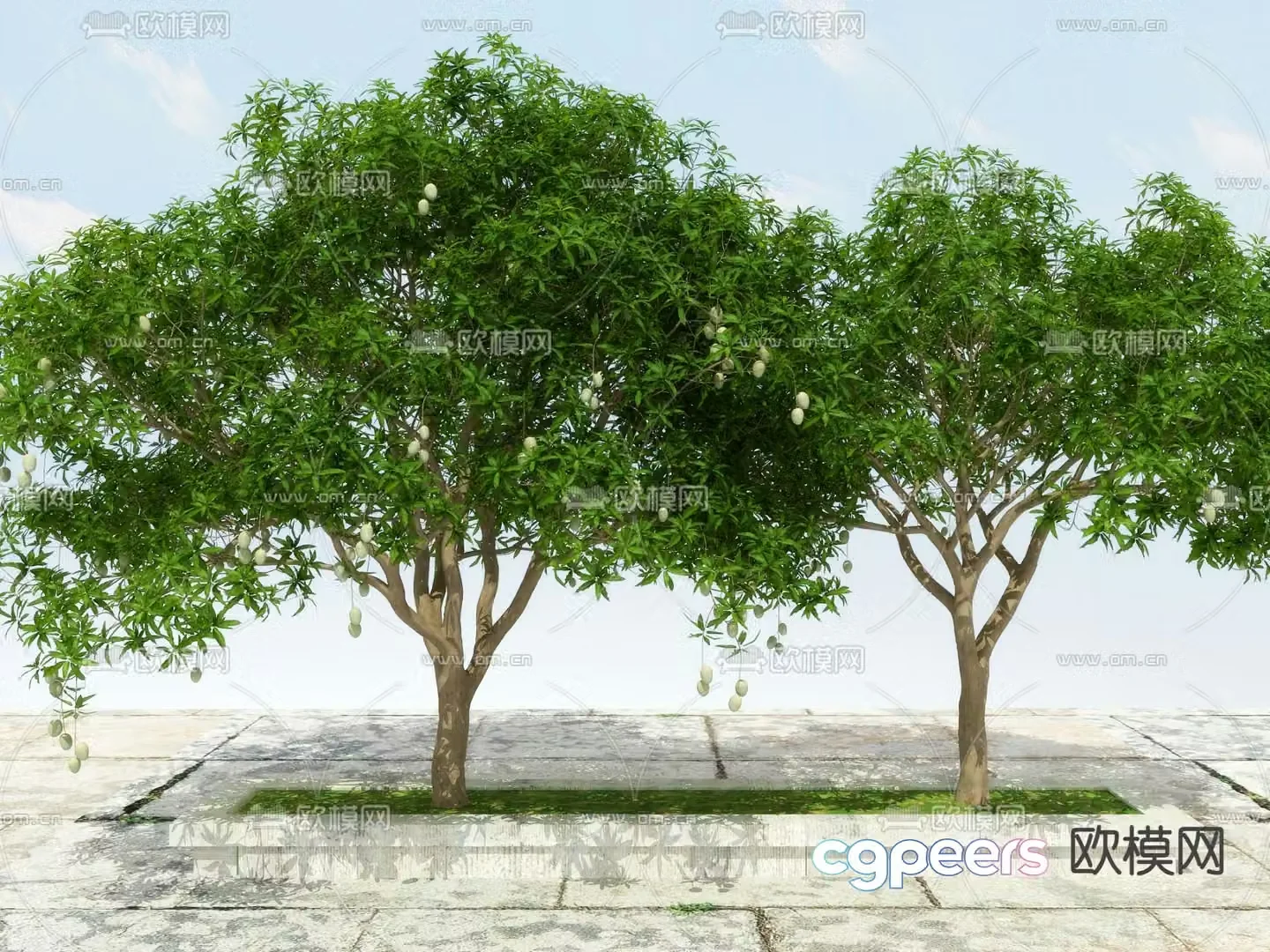 Landscape tree Big tree Fruit tree 3d model