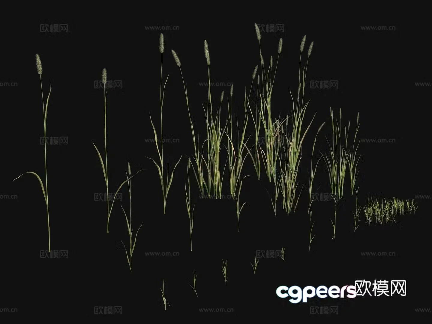 Outdoor flowers plants green plants 3d model
