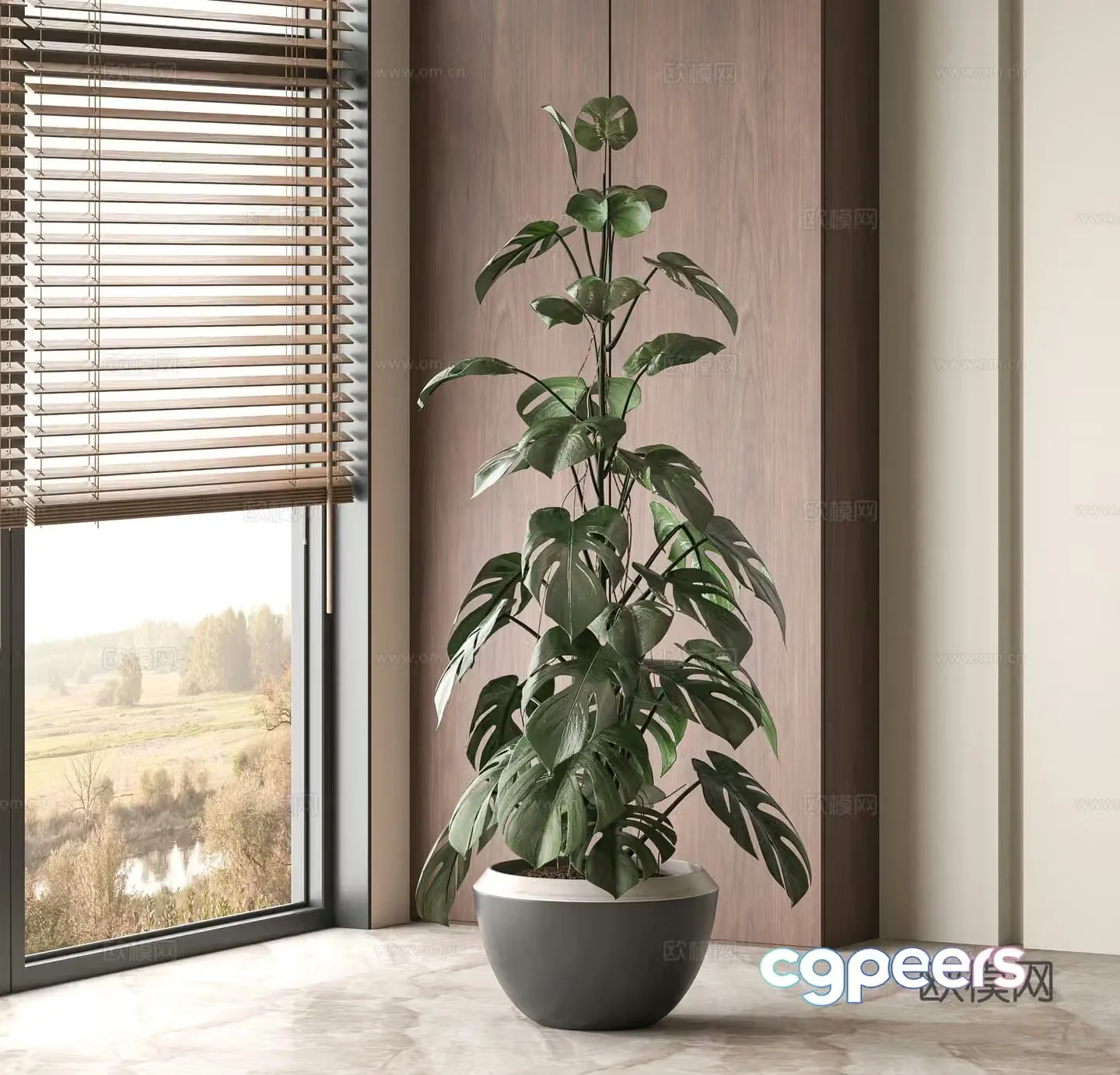 Monstera potted plant green plant plant 3d model
