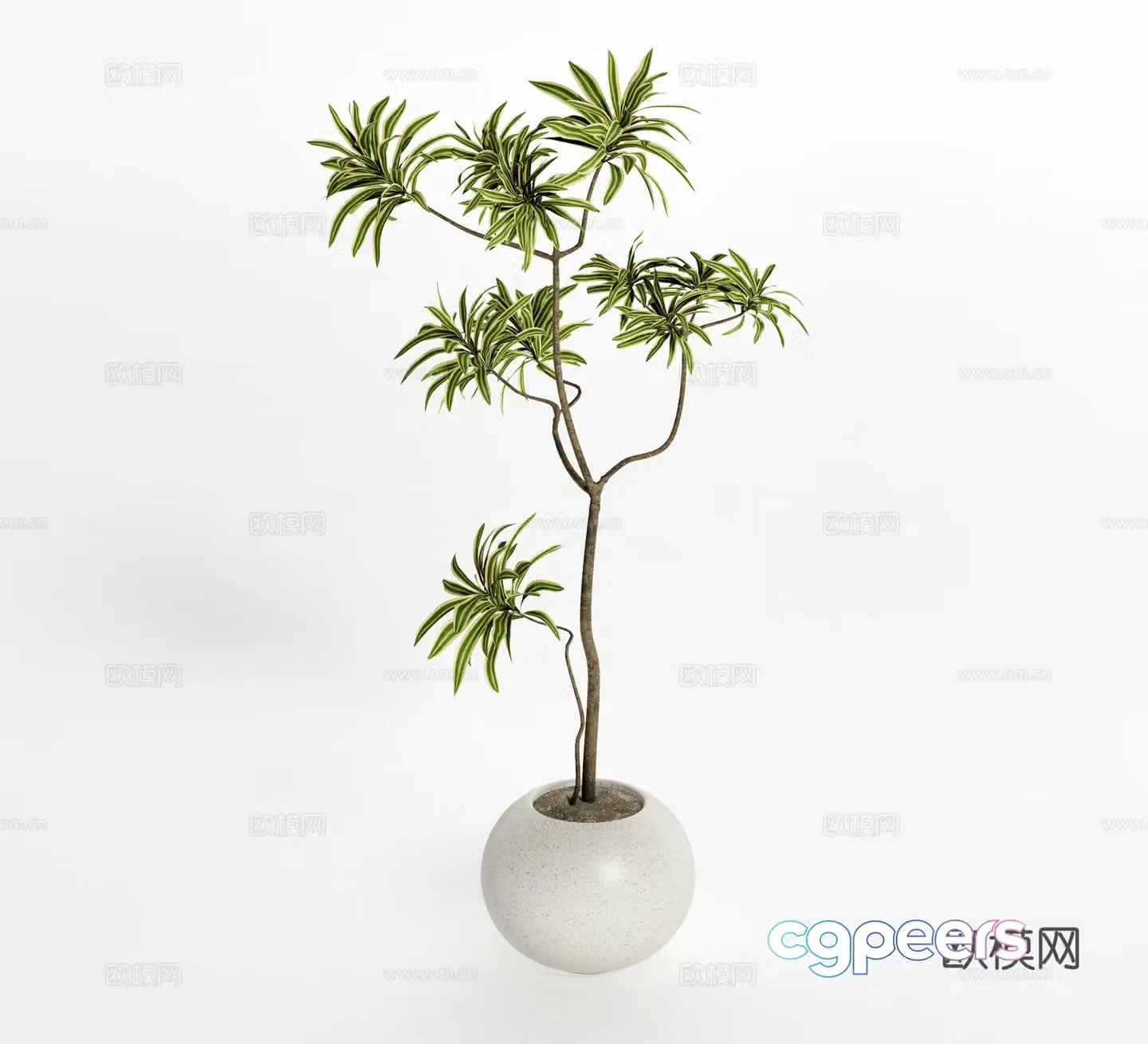 Potted plant green plant ornaments 3D model
