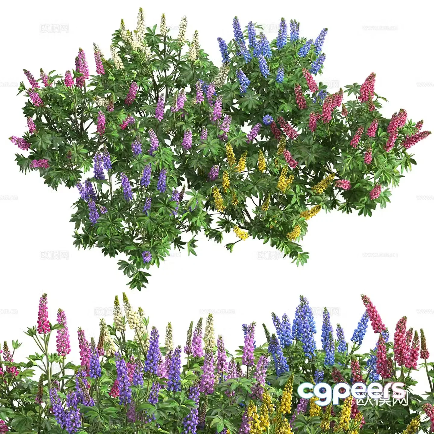 Flowers and green plants 3d model