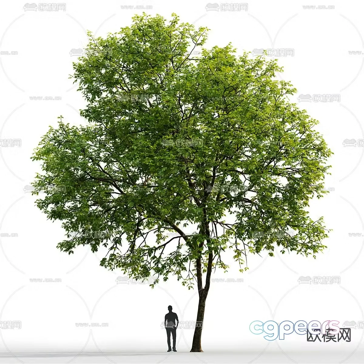 Landscape tree big tree arbor 3d model