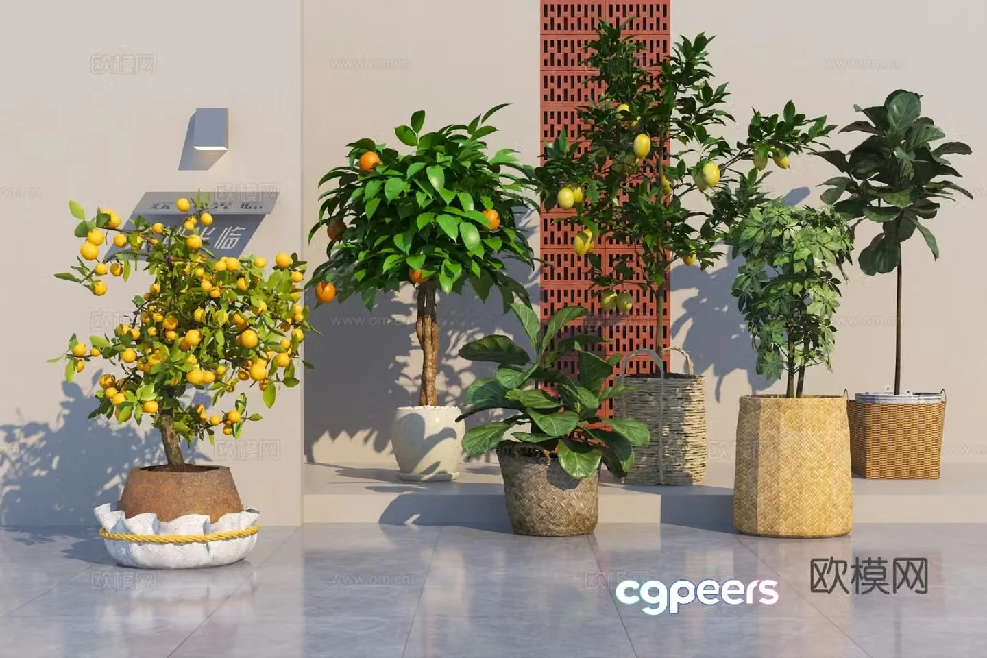 Modern plant potted bonsai 3D model