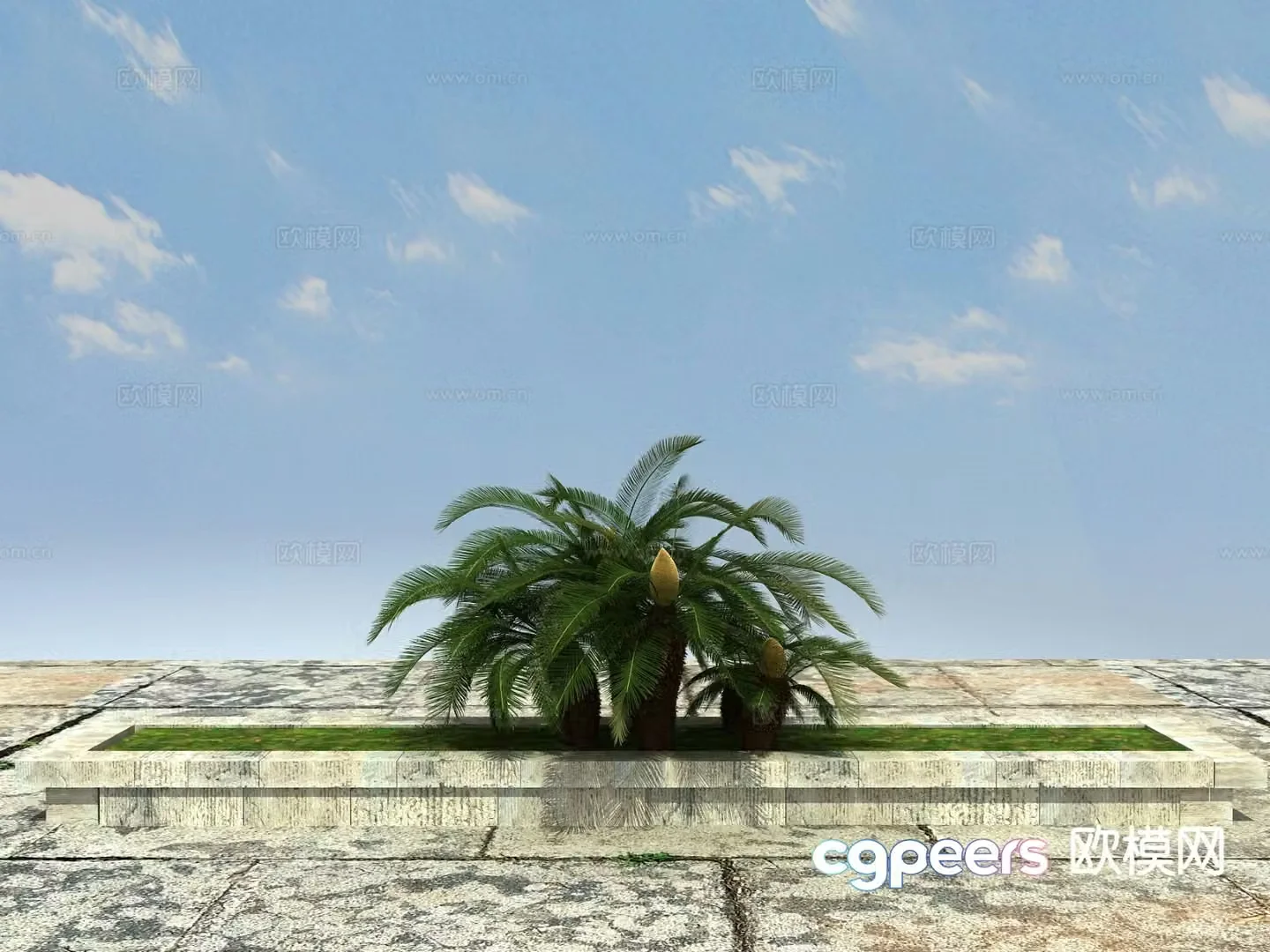 Tropical plant Big iron tree 3d model