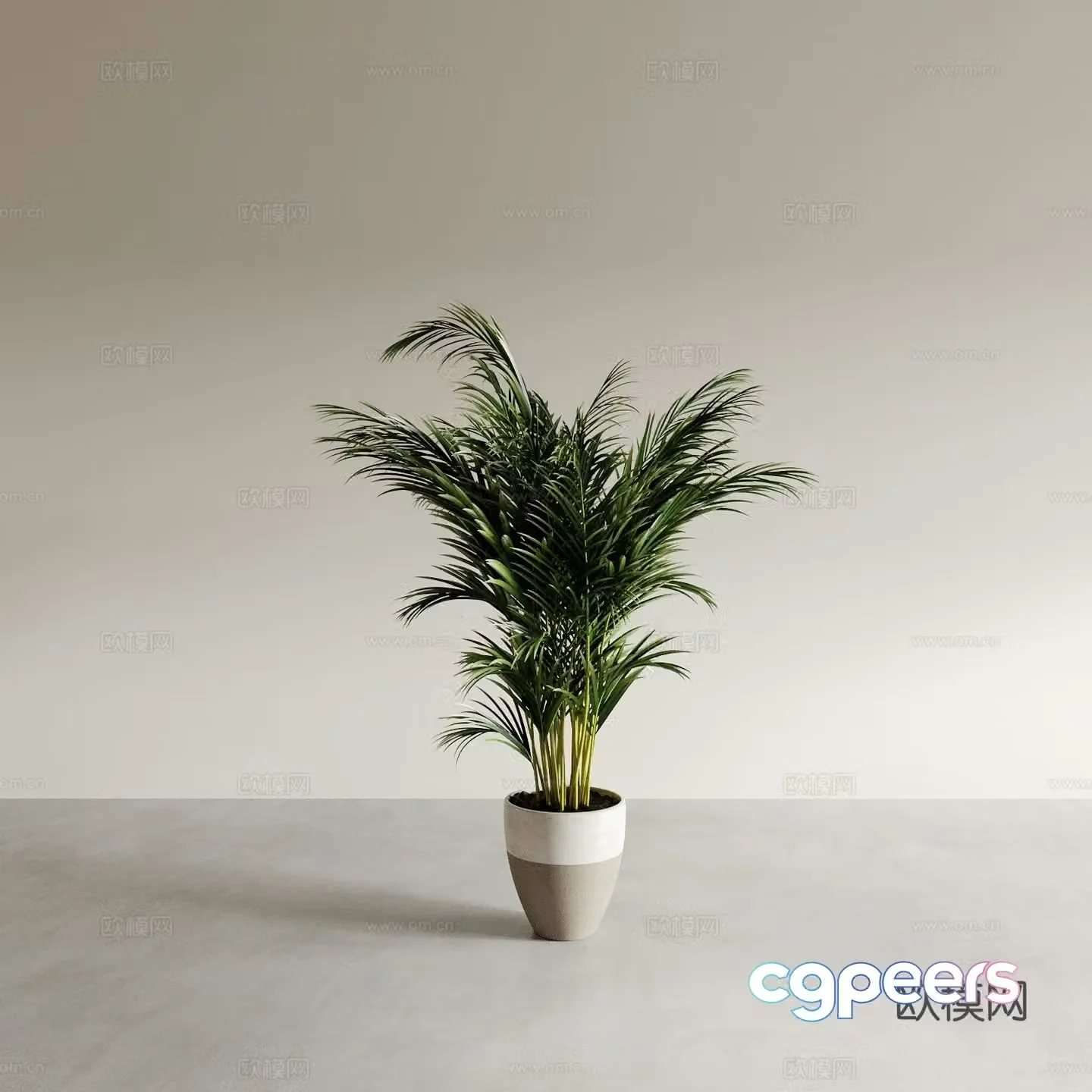 Bonsai potted plants indoor green plants plant ornaments 3d model